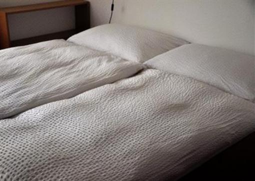 фото отеля Aaron's Sleep-Well B&B Basel
