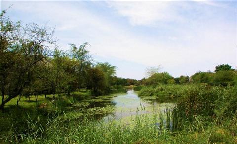 фото отеля Sefapane Lodge and Safaris