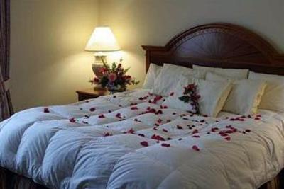 фото отеля Hilton Garden Inn Syracuse
