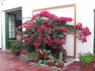 фото отеля Hotel Briones