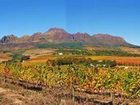 фото отеля Somerton Manor Guesthouse Somerset West