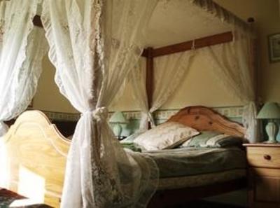 фото отеля Beehive Guesthouse