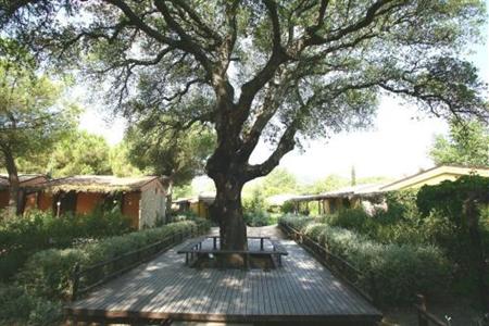 фото отеля Camping Village Rocchette Grosseto