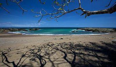 фото отеля Ylang Ylang Beach Resort