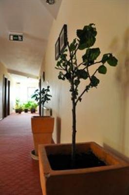 фото отеля Pensiunea Florica