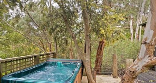фото отеля King Parrot Cottages & Conference Retreat