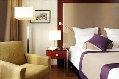 фото отеля Relais Spa Paris Roissy CDG Hotel Roissy-en-France