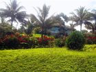 фото отеля Arasha Tropical Forest Resort and Spa