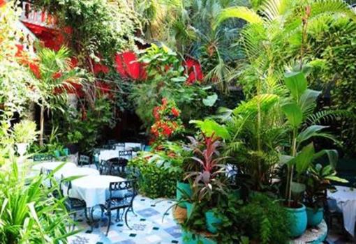 фото отеля Hotel Jungla Caribe
