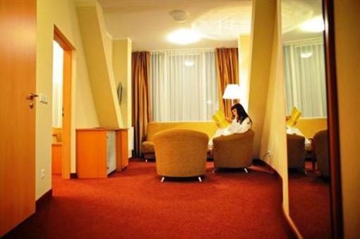 фото отеля Hotel Pusynas Druskininkai