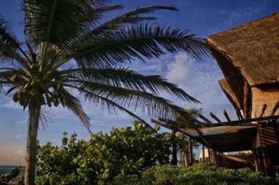 фото отеля Los Lirios Cabanas Hotel Tulum