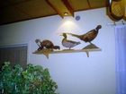 фото отеля Land-gut-Hotel Landhaus Nassau