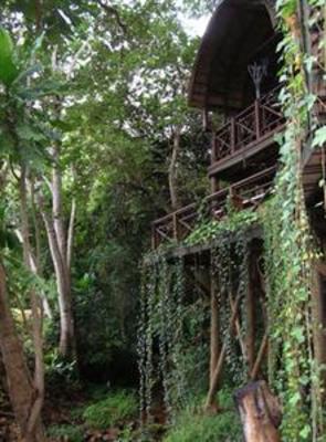 фото отеля Serenity Forest Eco Reserve Hotel Malelane