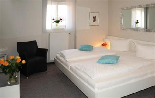 фото отеля Hotel Adler Weil am Rhein