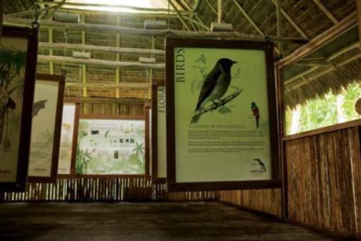 фото отеля Inkaterra Reserva Amazonica