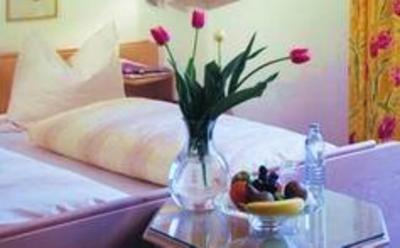 фото отеля Hotel Garni Villa Dachstein
