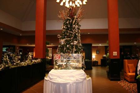 фото отеля Hilton Garden Inn Birmingham/Trussville