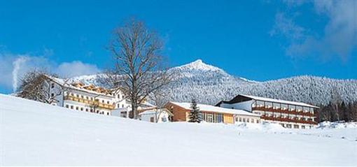фото отеля Osserhotel