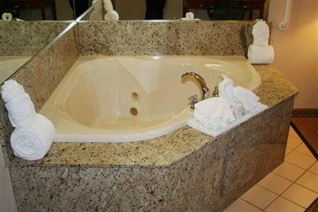 фото отеля Hilton Garden Inn Minneapolis/Maple Grove