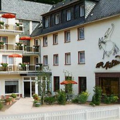 фото отеля Hotel Alte Muhle