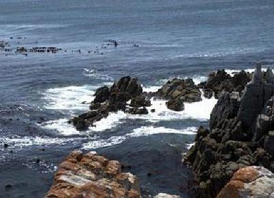 фото отеля Whale Sanctuary Lodge Gansbaai