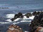 фото отеля Whale Sanctuary Lodge Gansbaai