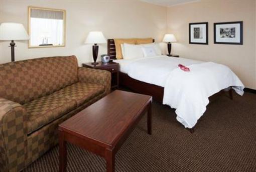 фото отеля Holiday Inn MPLS St Paul Arpt-Mall Of America