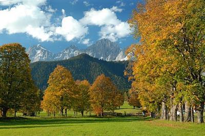 фото отеля Wander - & Langlaufhotel Almfrieden