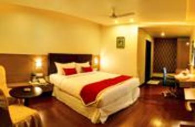 фото отеля Hotel Sitara Grand