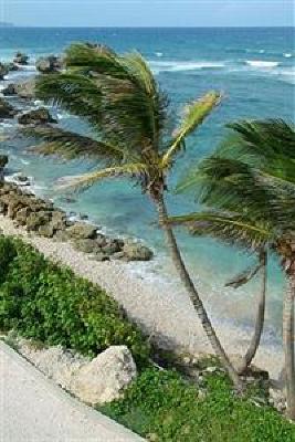 фото отеля The Atlantis Hotel Saint Joseph (Barbados)