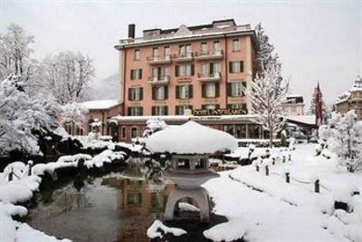 фото отеля Hotel Interlaken
