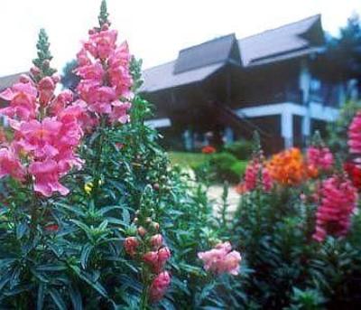 фото отеля Angkhang Nature Resort Fang