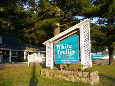 фото отеля White Trellis Motel