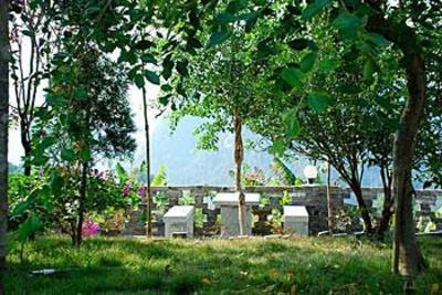 фото отеля Yangshuo Dongling Resort