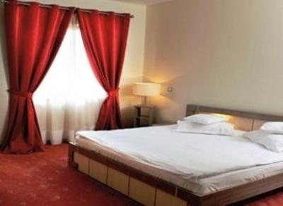 фото отеля Business Hotel Conference Center & Spa Tirgu Mures