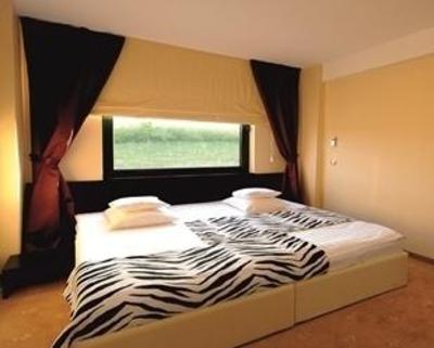 фото отеля Business Hotel Conference Center & Spa Tirgu Mures