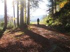 фото отеля Hotel Lamm Mitteltal Baiersbronn