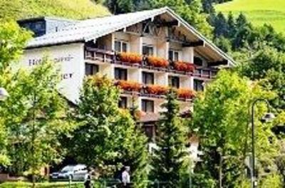 фото отеля Hotel-Pension Wildanger