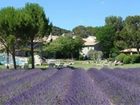 фото отеля Mas Collection Villas Saint-Remy-de-Provence