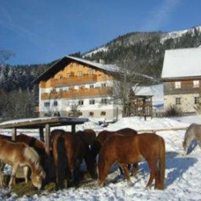 фото отеля Bauernhof Stadlerhof