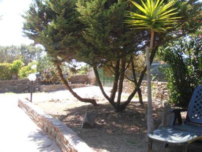 фото отеля B&B La Dea Madre