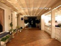 Husa Ayamontino
