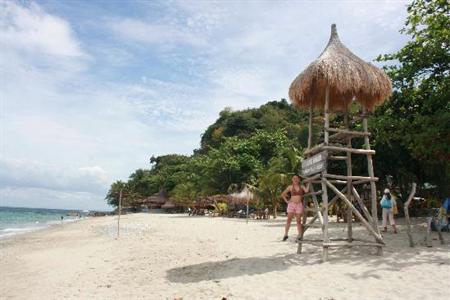 фото отеля Tamaraw Beach Resort