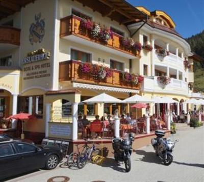 фото отеля Berg & Spa Hotel Urslauerhof