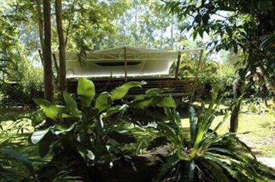 фото отеля Cedar Park Rainforest Resort Mareeba