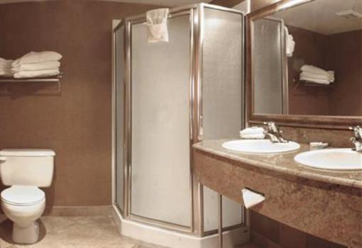 фото отеля Holiday Inn Calgary Airport
