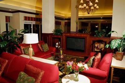 фото отеля Hilton Garden Inn Tampa Northwest Oldsmar