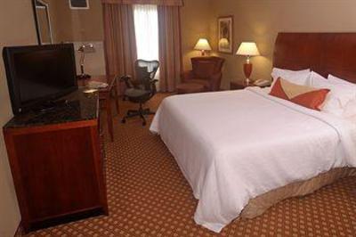 фото отеля Hilton Garden Inn Tampa Northwest Oldsmar