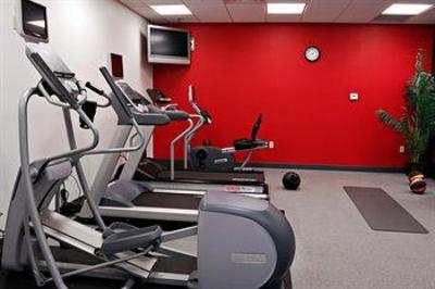 фото отеля Hilton Garden Inn Tampa Northwest Oldsmar