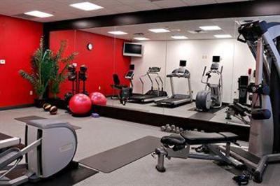 фото отеля Hilton Garden Inn Tampa Northwest Oldsmar